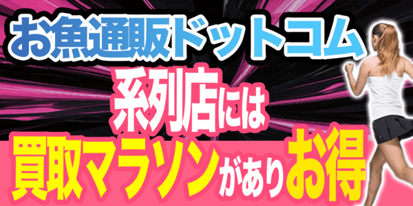 お魚通販ドットコムの系列店には買取マラソンがありお得